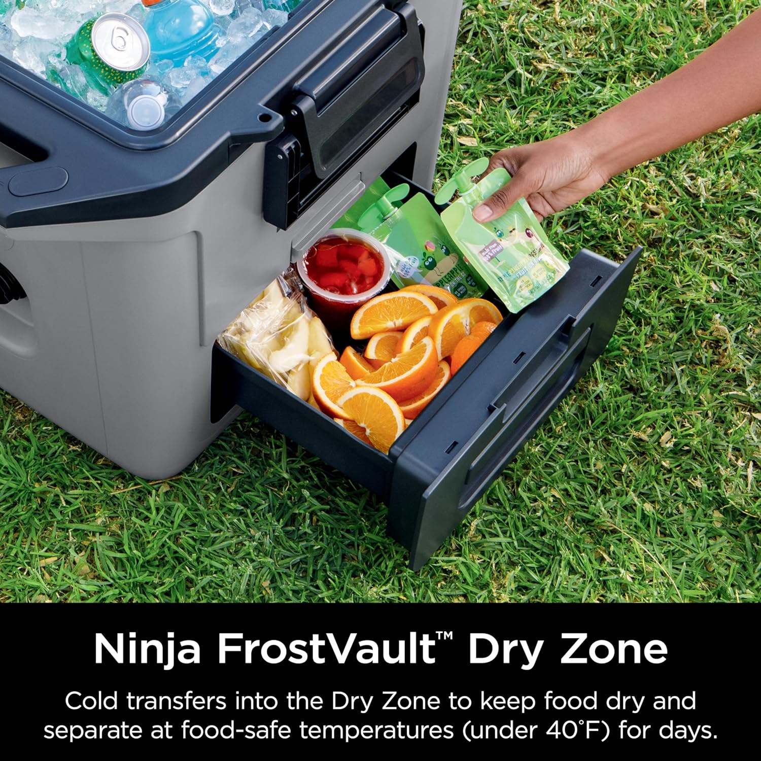 Ninja FrostVault 30qt Hard Cooler